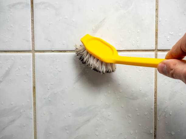 Best Mold Removal Company Near Me  in Braidwood, IL