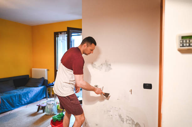 Best Mold Testing  in Braidwood, IL